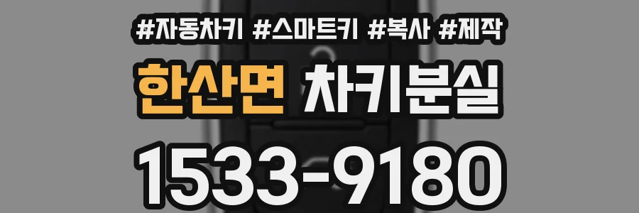 한산면 차키분실