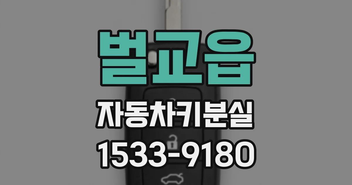 벌교읍 자동차키분실