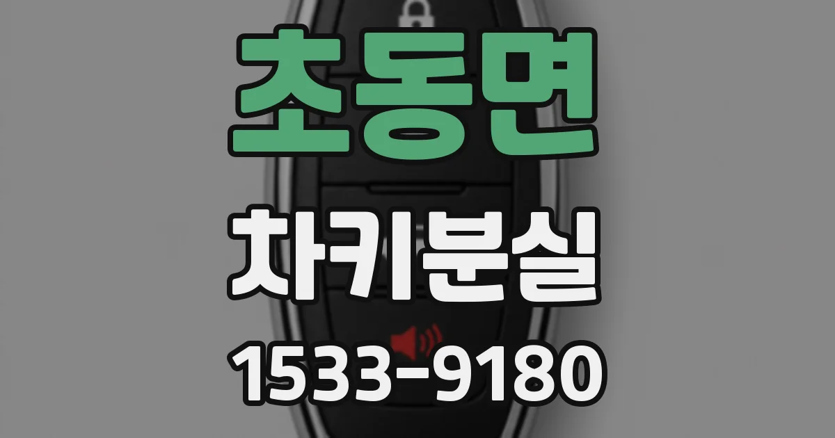 초동면 차키분실