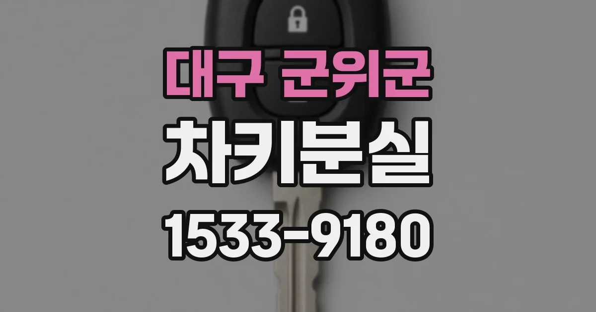 대구 군위군 차키분실