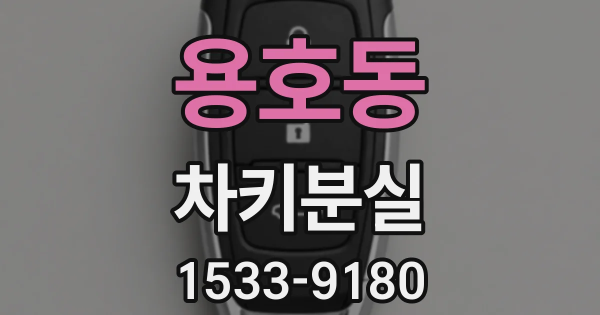 용호동 차키분실