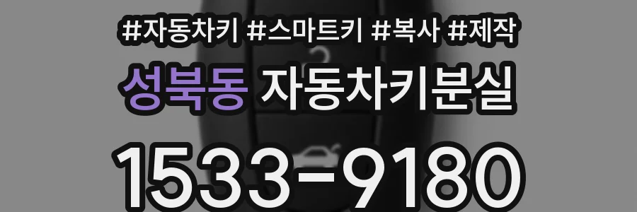 성북동 자동차키분실