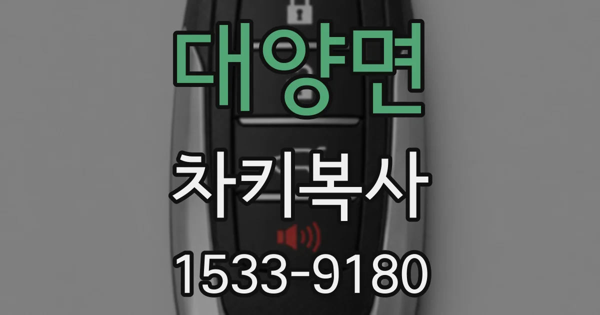 대양면 차키복사