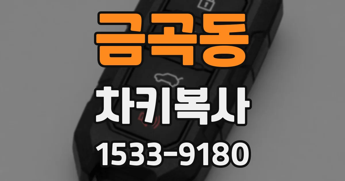 금곡동 차키복사