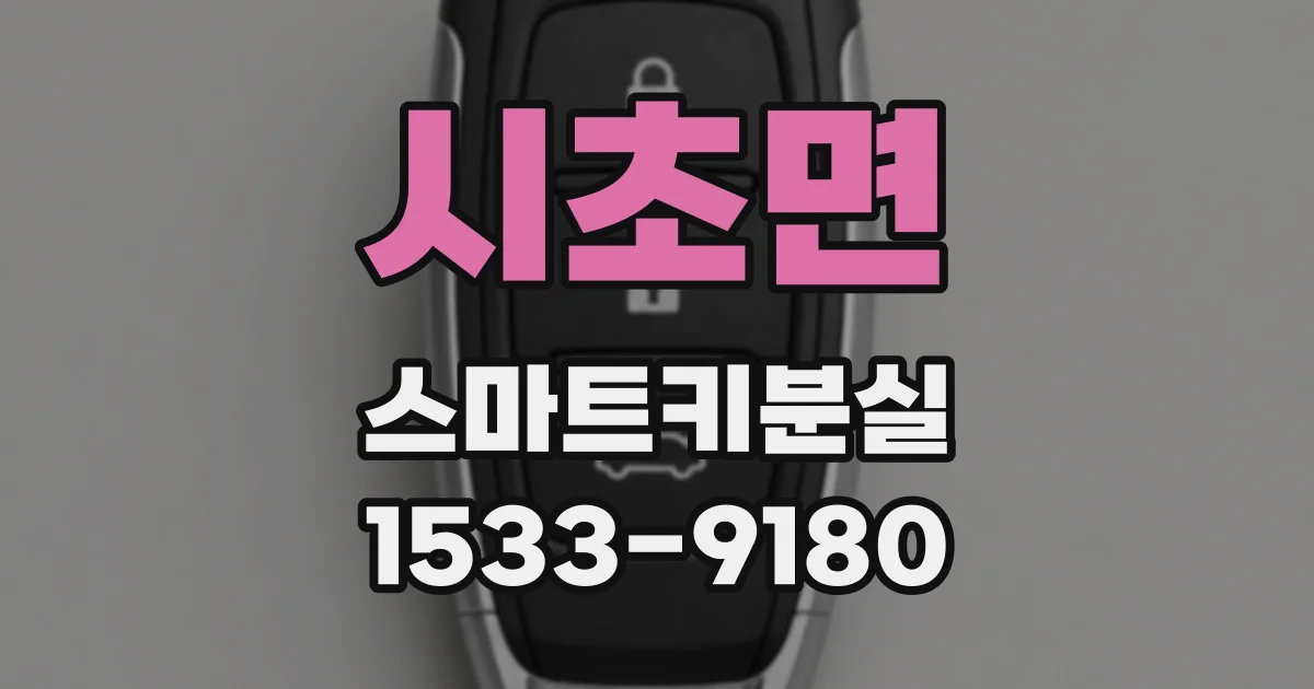 시초면 스마트키분실