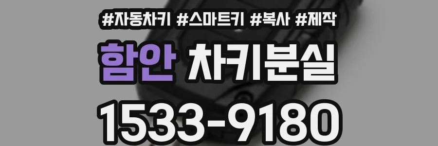 함안 차키분실