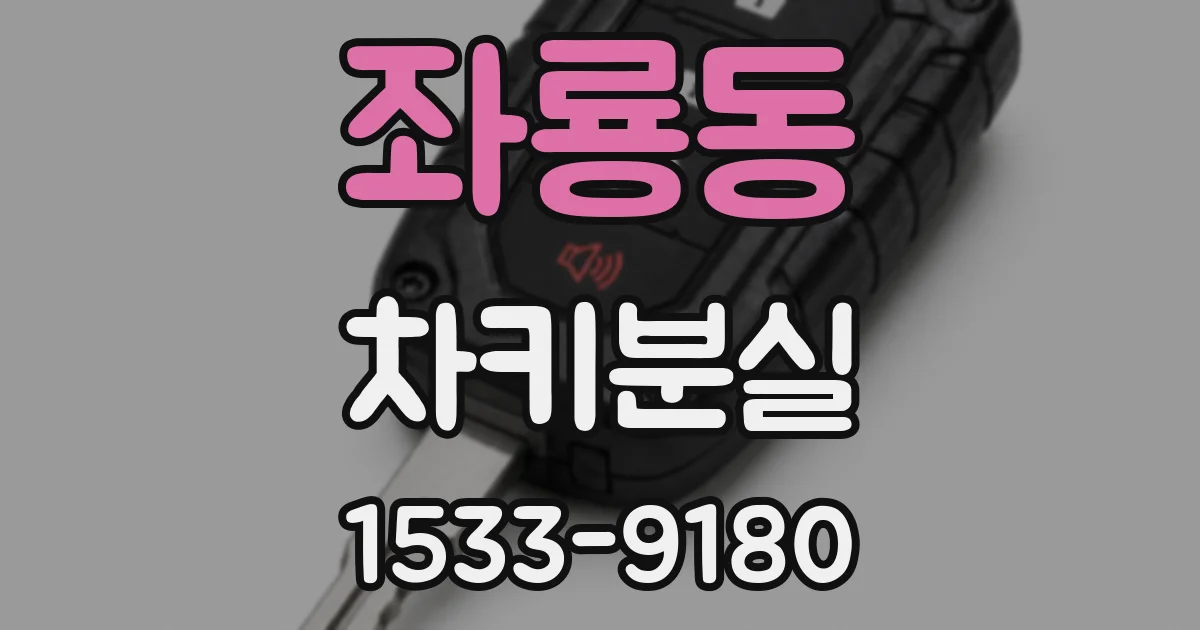 좌룡동 차키분실