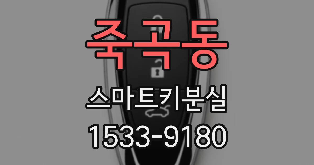 죽곡동 스마트키분실