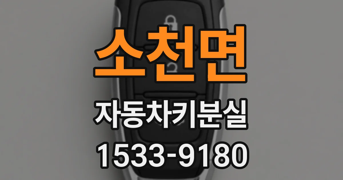 소천면 자동차키분실