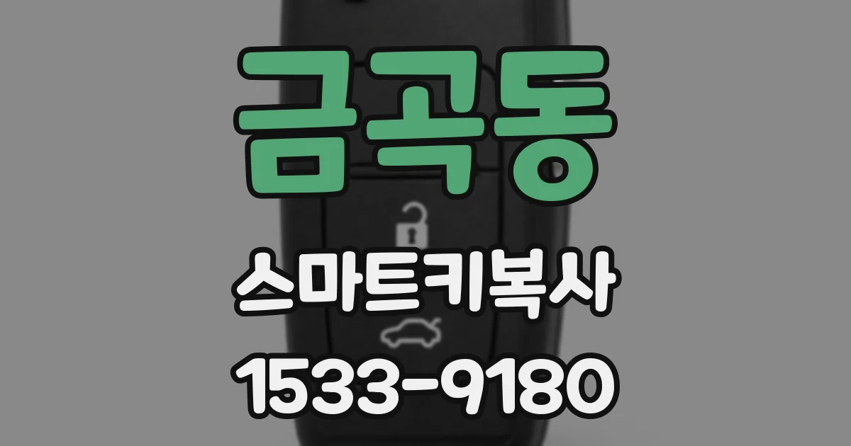 금곡동 스마트키복사