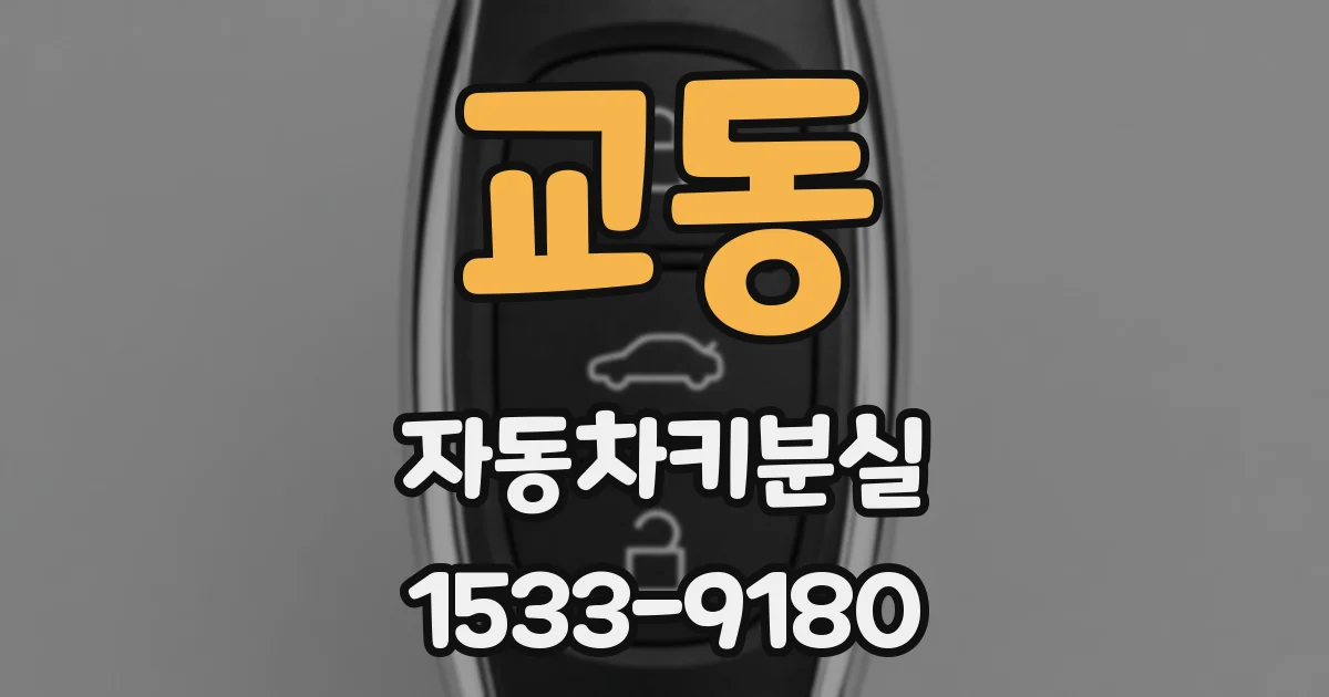 교동 자동차키분실