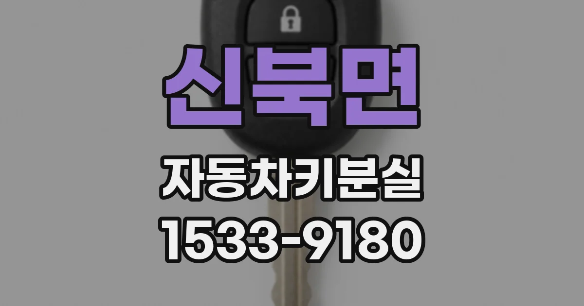 신북면 자동차키분실