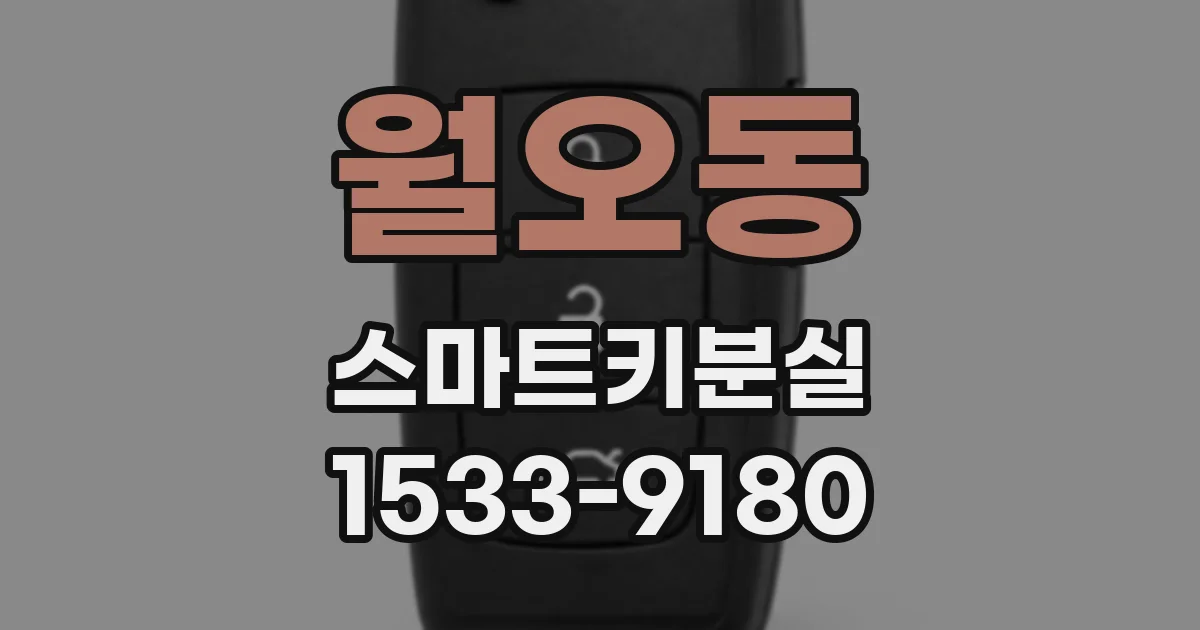 월오동 스마트키분실