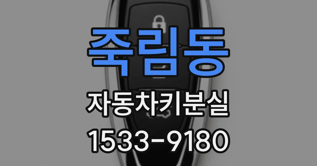 죽림동 자동차키분실