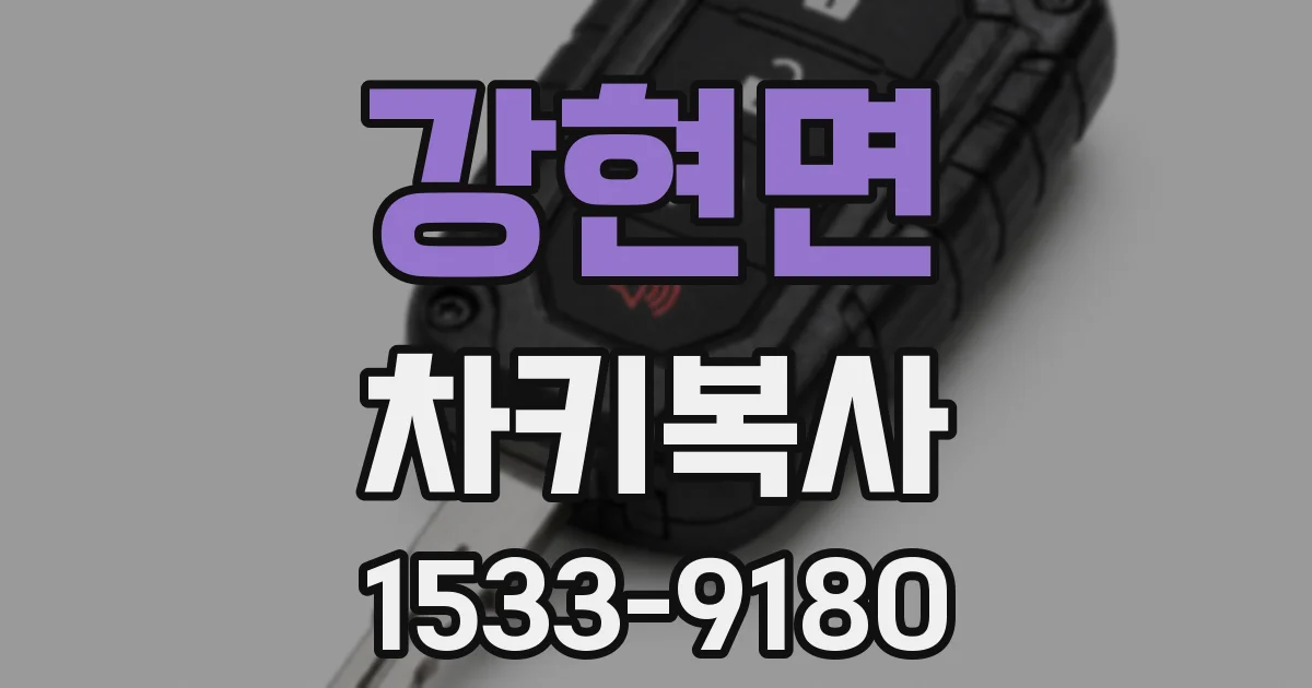 강현면 차키복사
