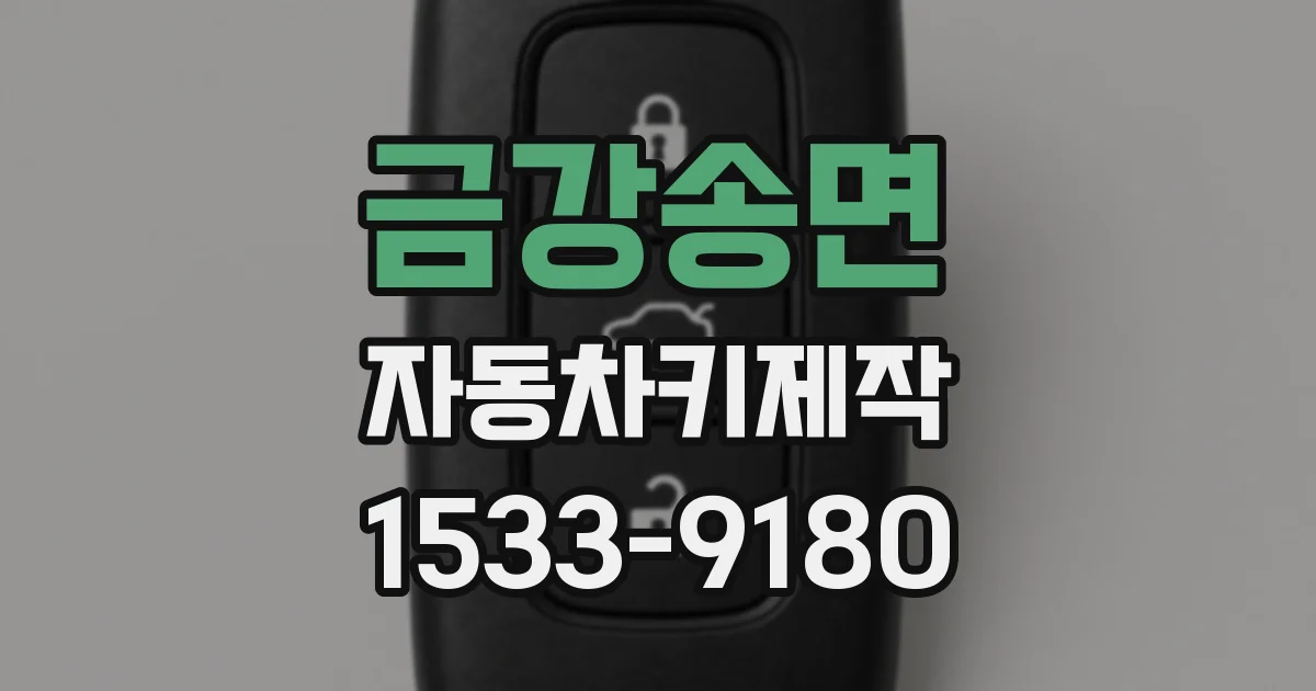 금강송면 자동차키제작