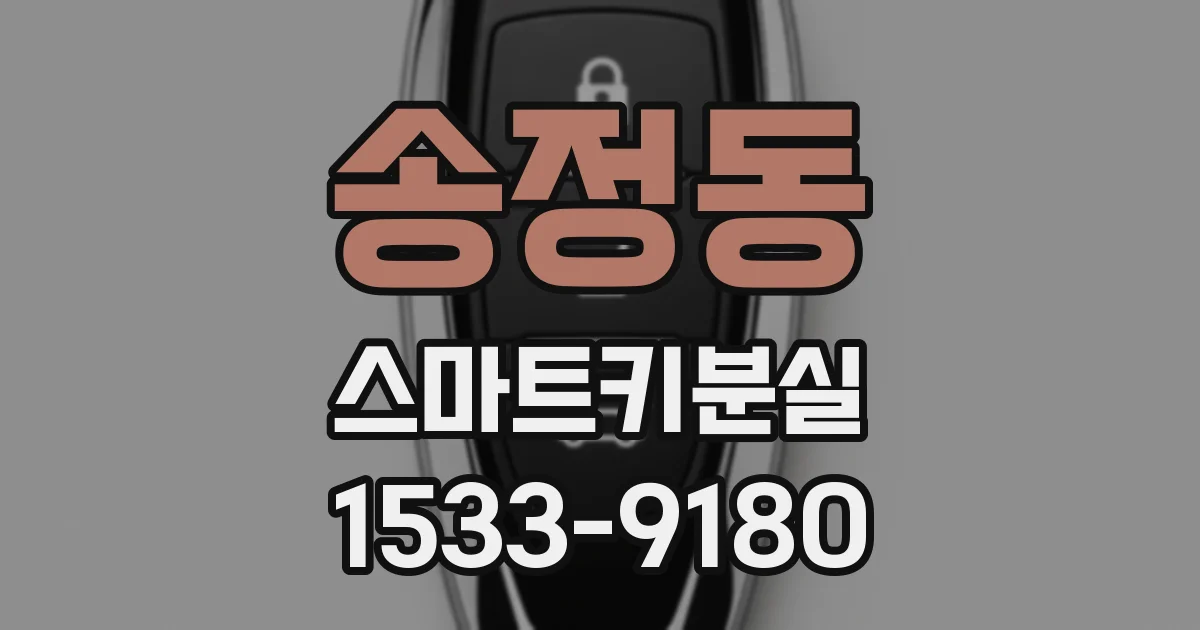 송정동 스마트키분실