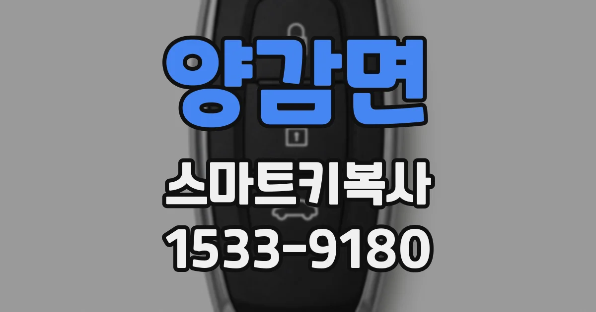 양감면 스마트키복사