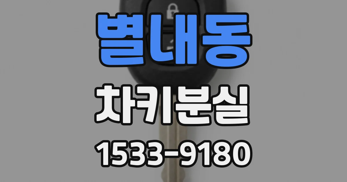 별내동 차키분실