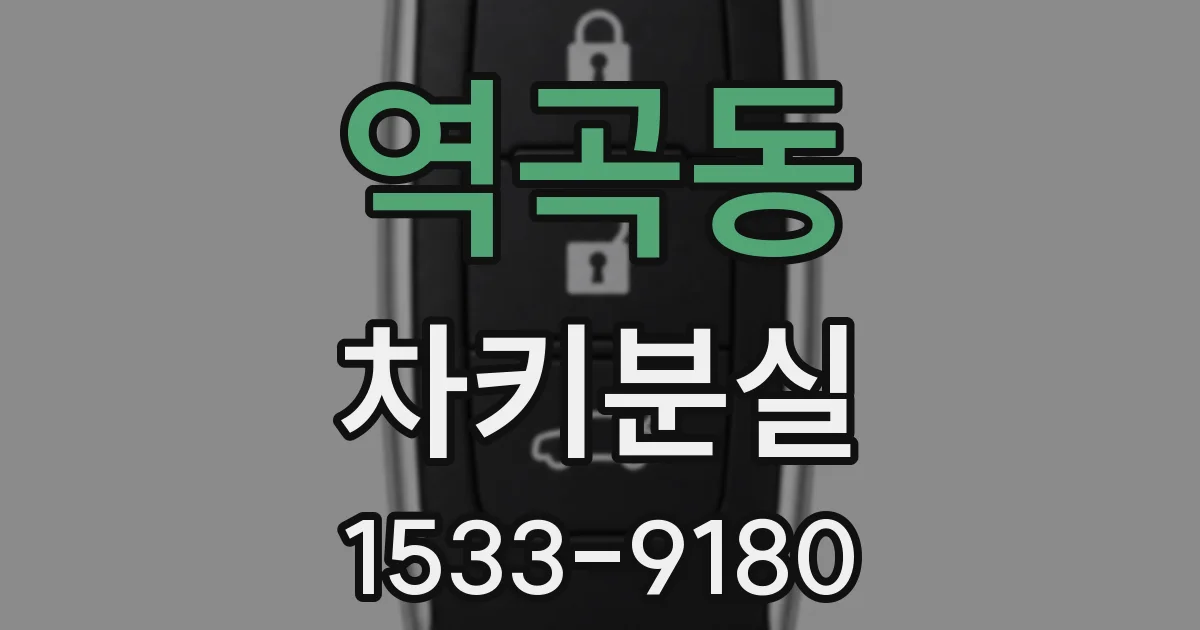 역곡동 차키분실
