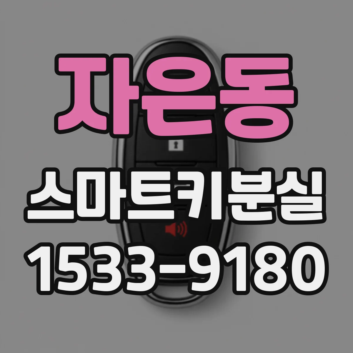 자은동 스마트키분실
