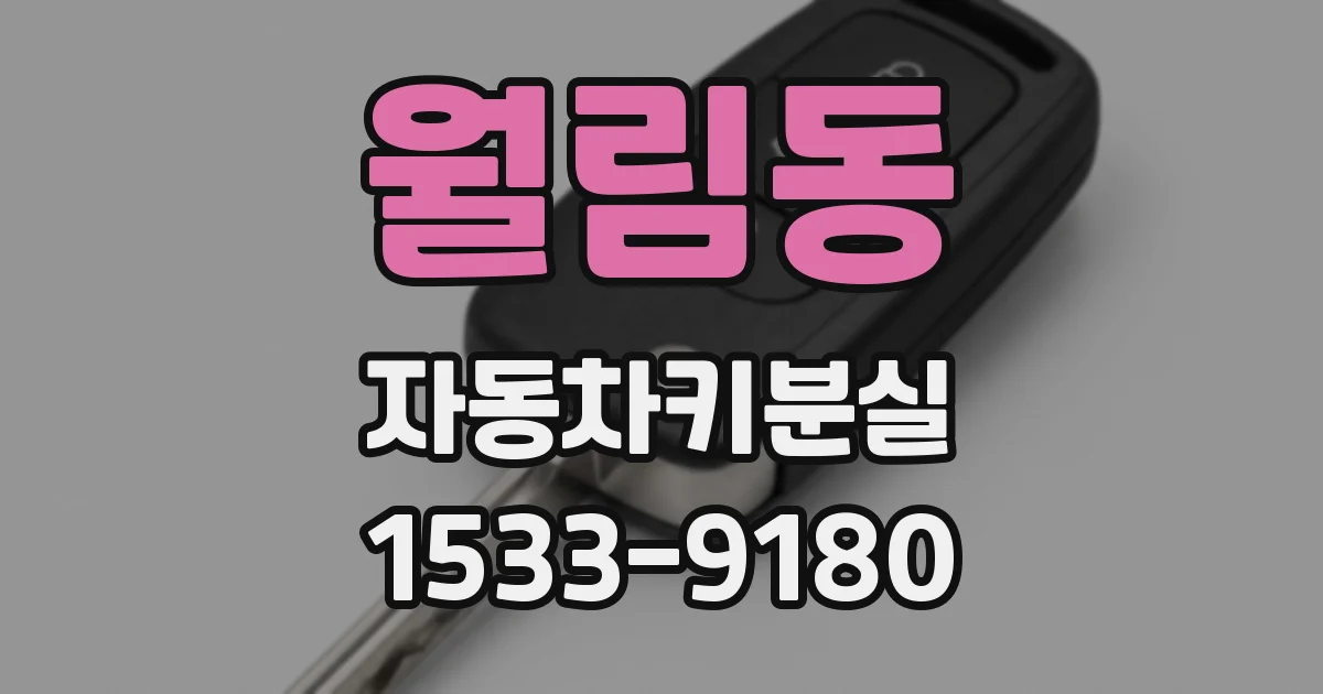 월림동 자동차키분실