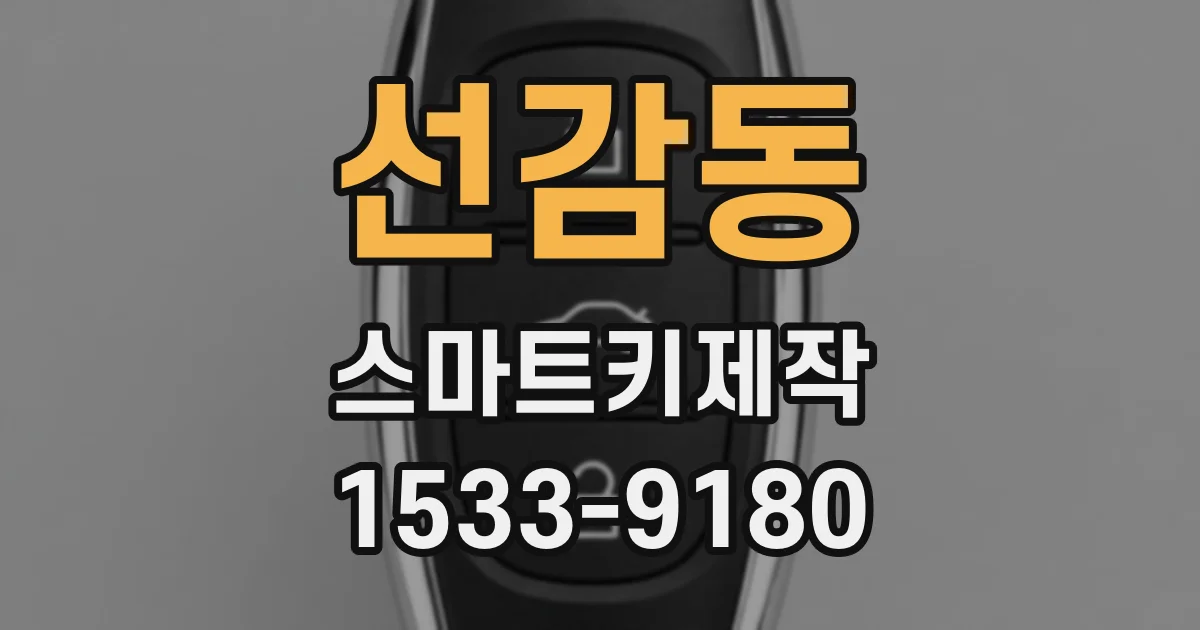 선감동 스마트키제작