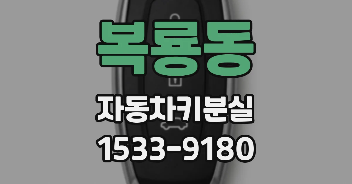 복룡동 자동차키분실