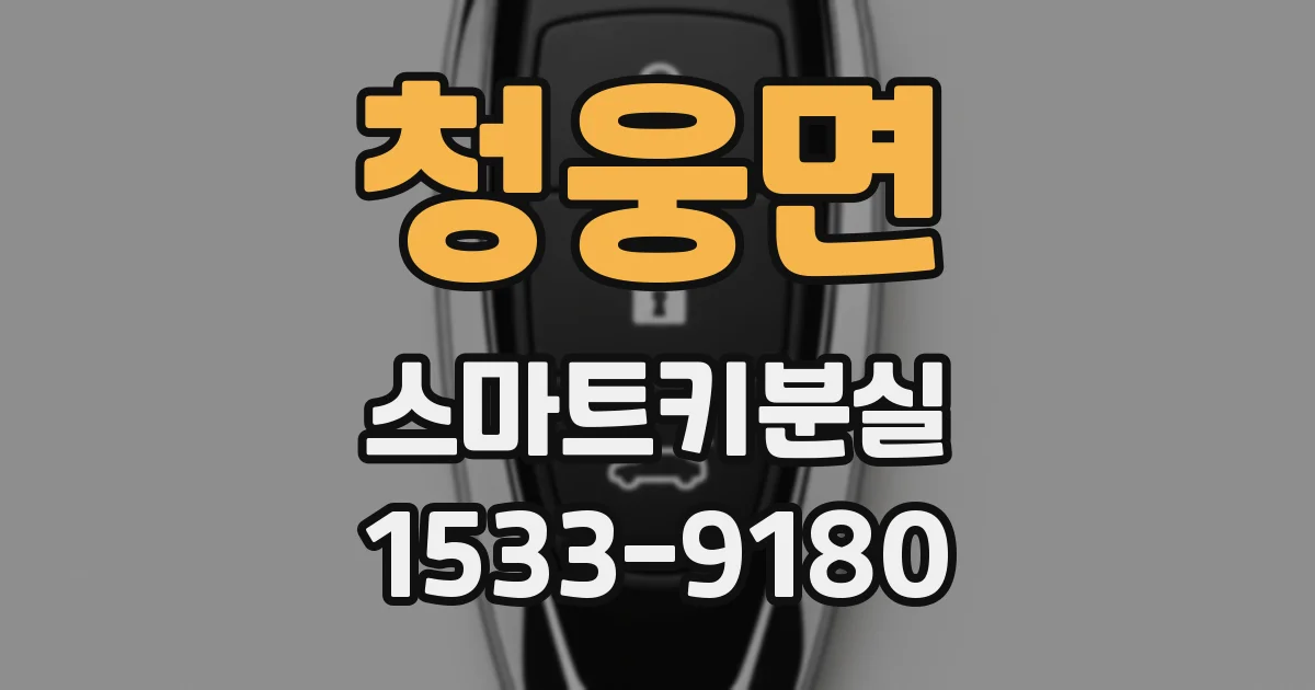청웅면 스마트키분실