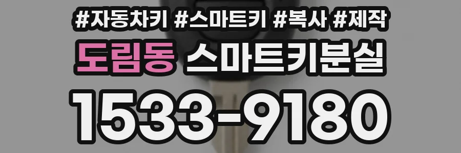 도림동 스마트키분실
