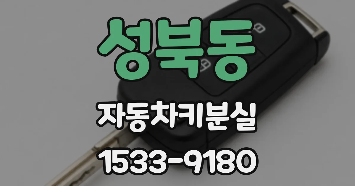 성북동 자동차키분실