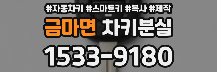 금마면 차키분실