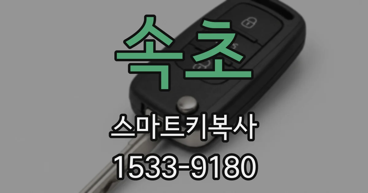 속초 스마트키복사