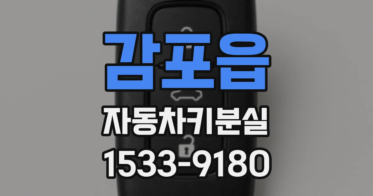 감포읍 자동차키분실