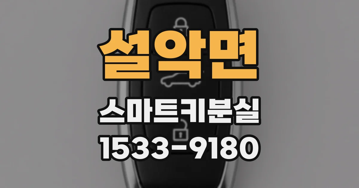설악면 스마트키분실