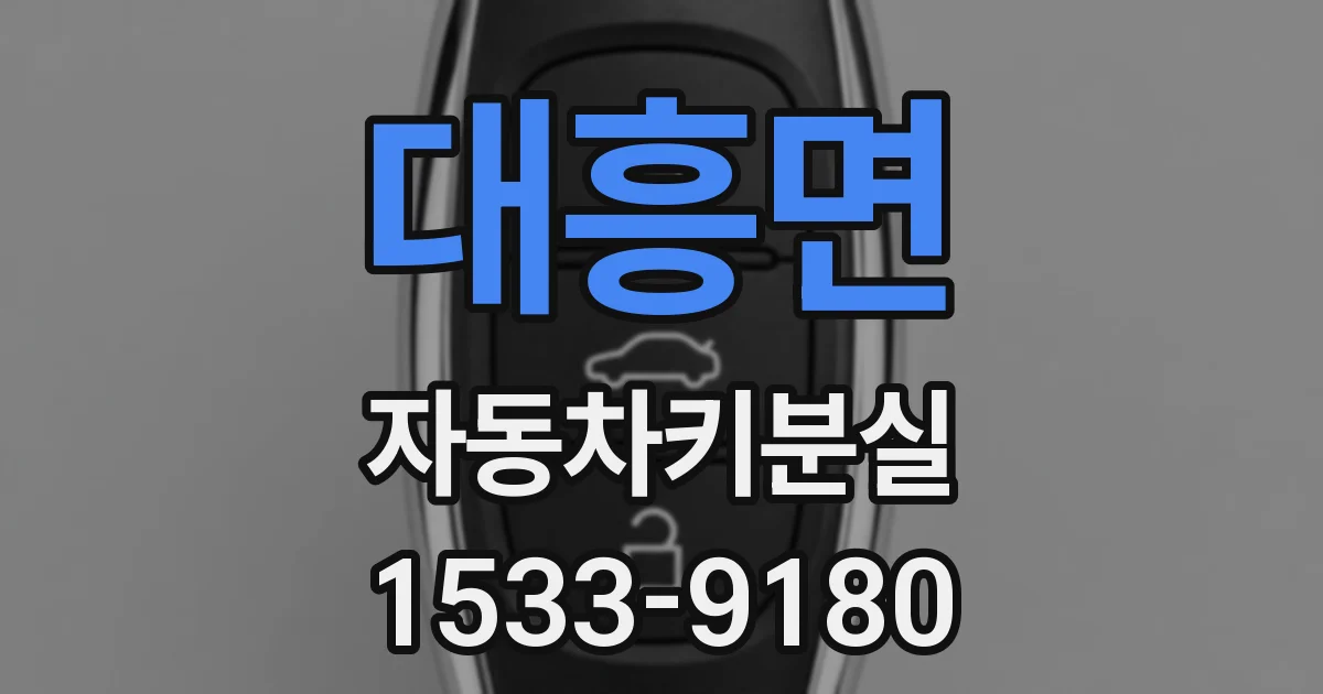 대흥면 자동차키분실