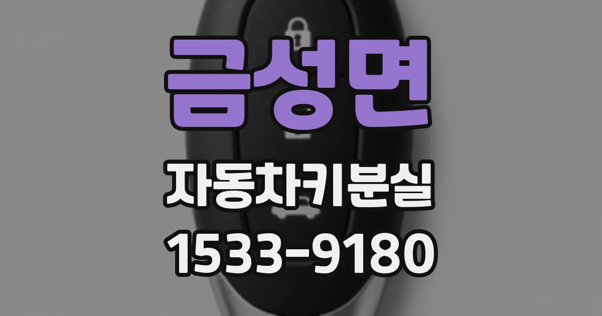 금성면 자동차키분실