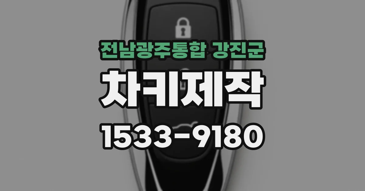 전남광주통합 강진군 차키제작
