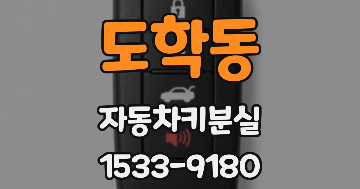 도학동 자동차키분실