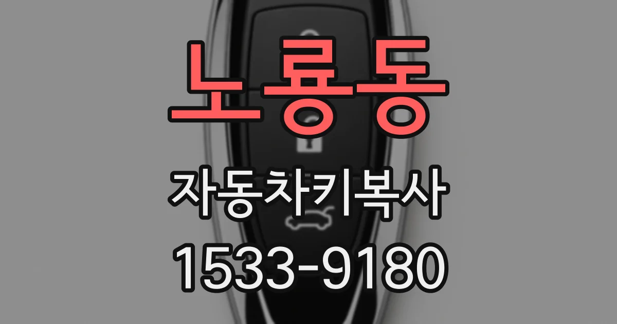 노룡동 자동차키복사