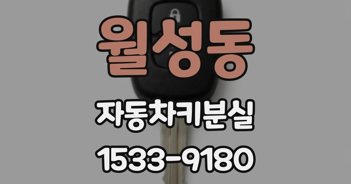 월성동 자동차키분실