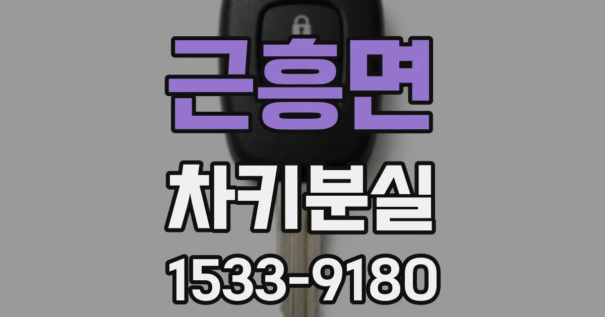 근흥면 차키분실