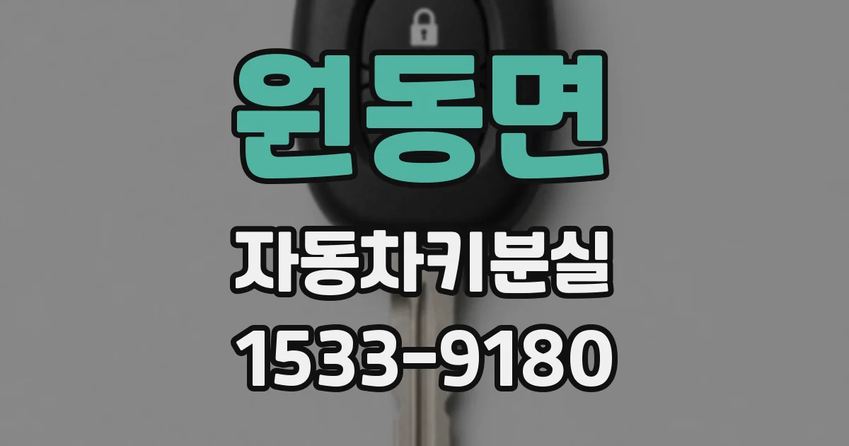 원동면 자동차키분실