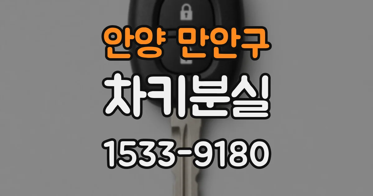 안양 만안구 차키분실