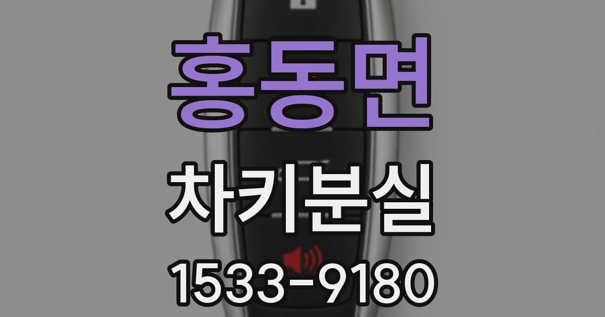 홍동면 차키분실