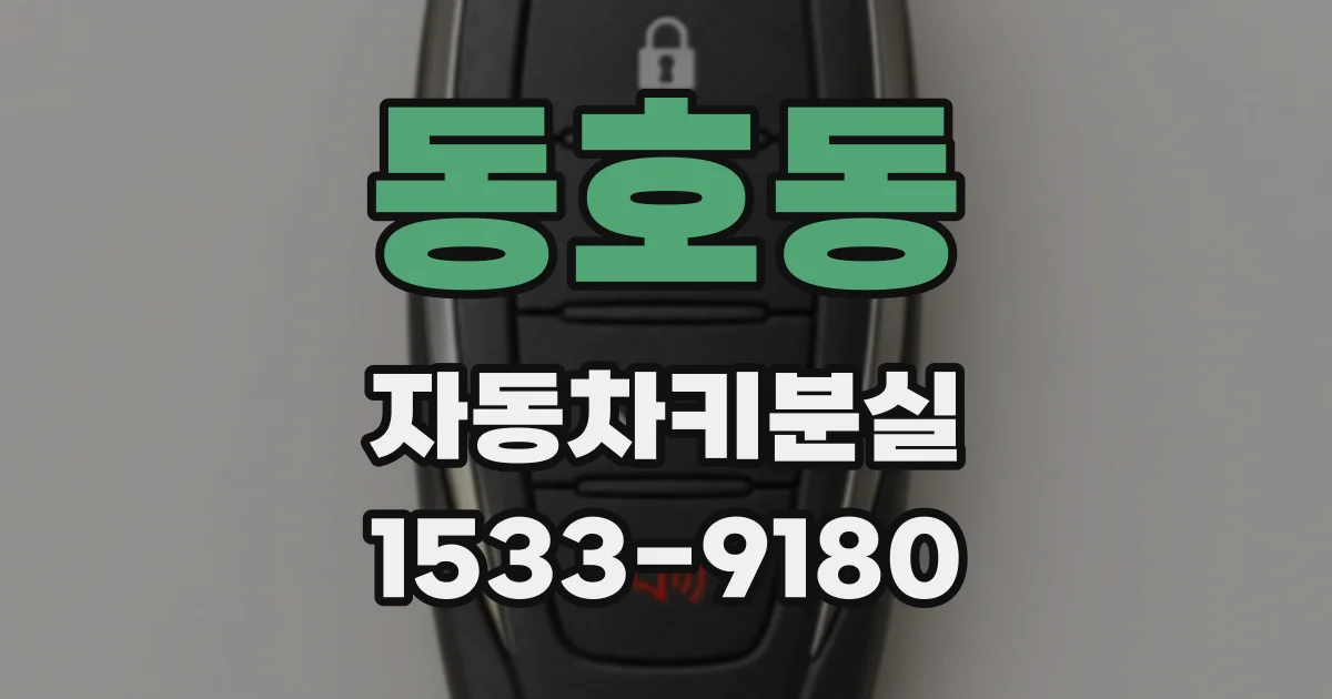 동호동 자동차키분실