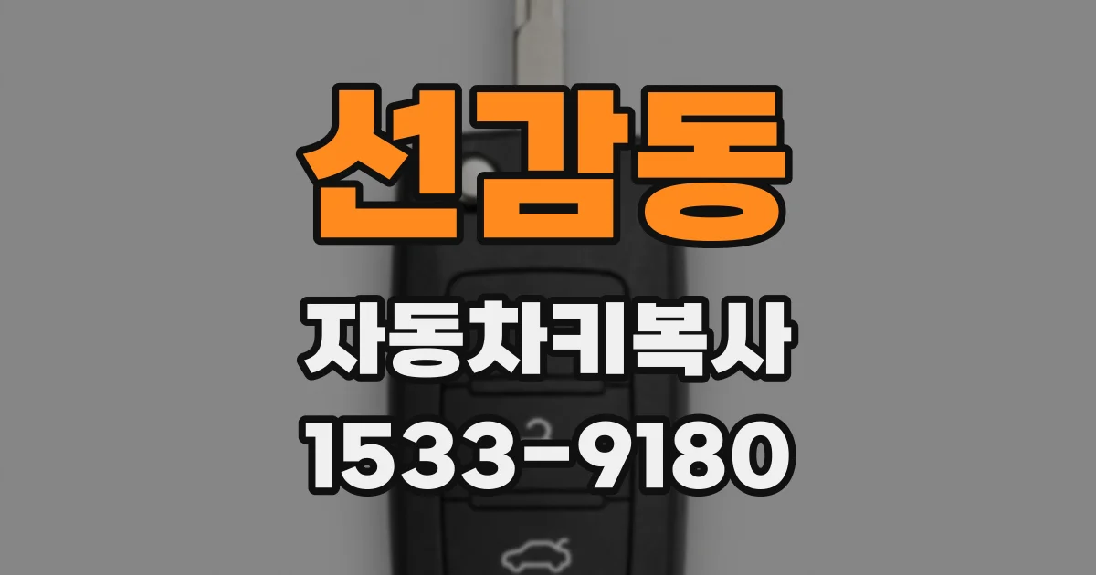 선감동 자동차키복사