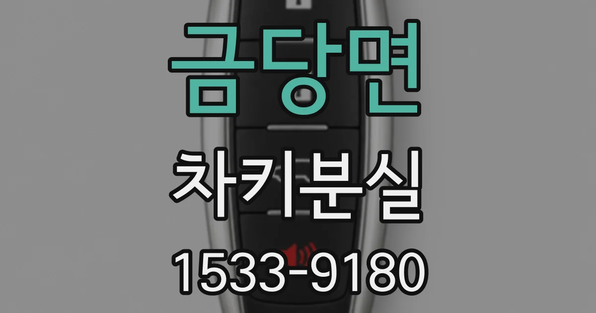 금당면 차키분실