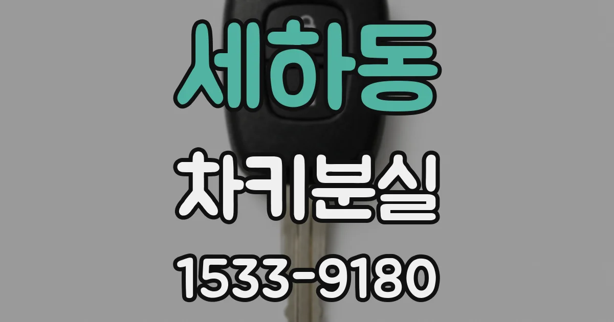 세하동 차키분실