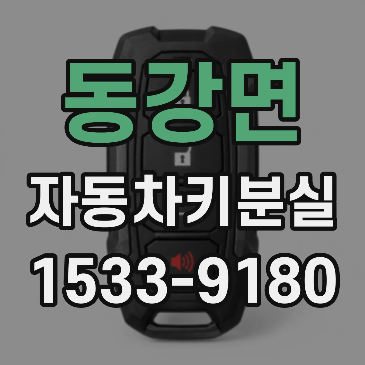 동강면 자동차키분실